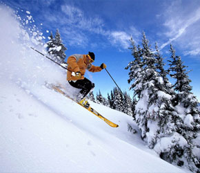 Himachal Tours